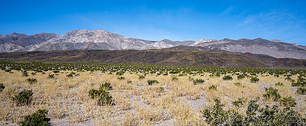 Argus Range and Panamint Valley