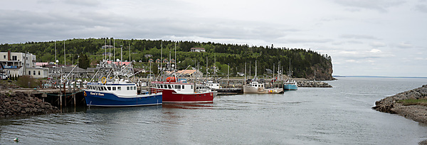 Alma Harbor