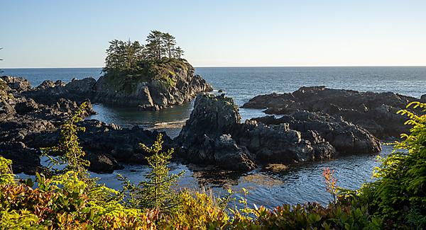 View from Wild Pacific Trail