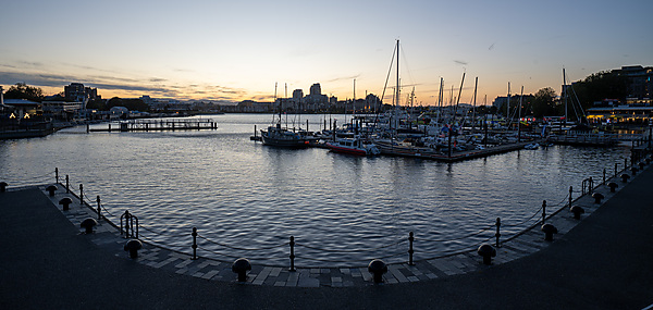 Victoria Harbor